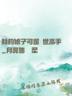 我的娘子可是絕世高手