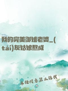 我的完美御姐老婆