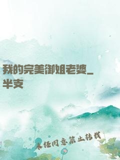 我的完美御姐老婆