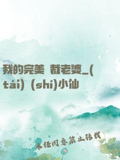 我的完美總裁老婆