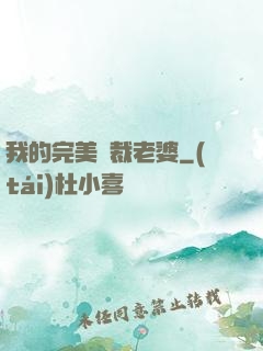 我的完美總裁老婆