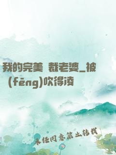 我的完美總裁老婆