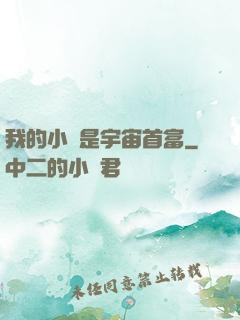 我的小媽是宇宙首富