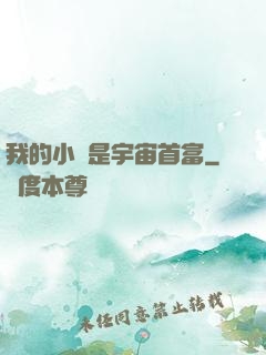 我的小媽是宇宙首富