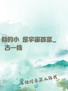 我的小媽是宇宙首富