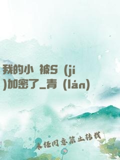 我的小說被S級(jí)加密了