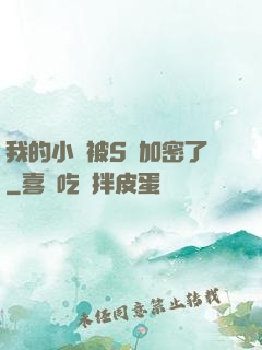 我的小說被S級加密了