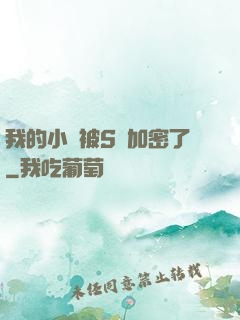 我的小說被S級加密了