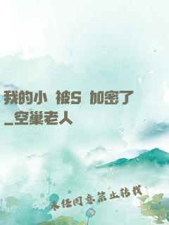 我的小說被S級加密了