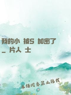 我的小說被S級加密了