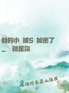 我的小說被S級加密了
