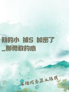 我的小說被S級加密了