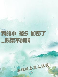 我的小說被S級加密了