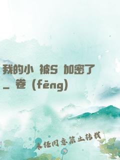 我的小說被S級加密了