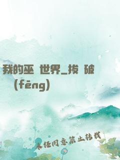 我的巫師世界