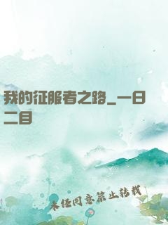 我的征服者之路