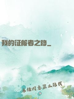 我的征服者之路