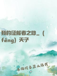 我的征服者之路