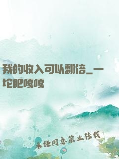我的收入可以翻倍