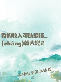 我的收入可以翻倍