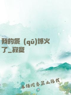 我的景區(qū)爆火了