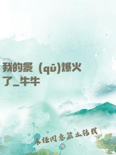 我的景區(qū)爆火了
