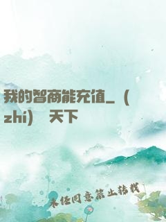我的智商能充值