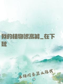 我的植物很高能