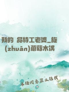 我的極品特工老婆
