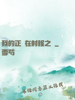 我的正義在射程之內