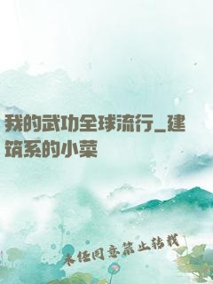 我的武功全球流行