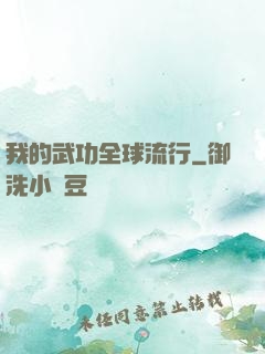我的武功全球流行