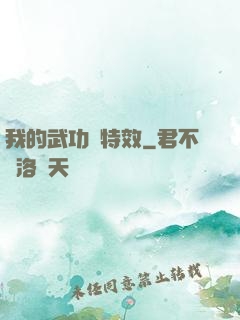 我的武功帶特效