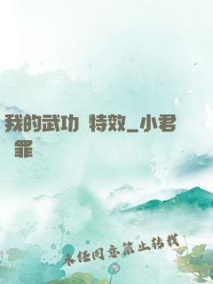 我的武功帶特效