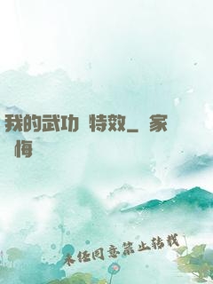 我的武功帶特效