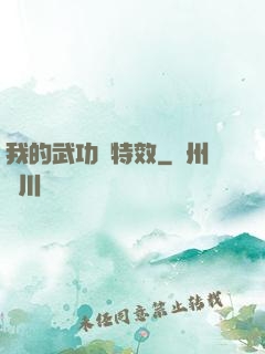 我的武功帶特效