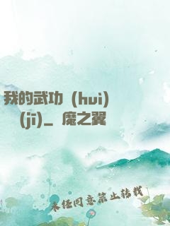 我的武功會(huì)掛機(jī)