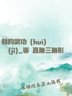 我的武功會(huì)掛機(jī)