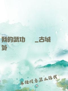 我的武功會掛機