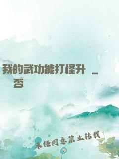 我的武功能打怪升級