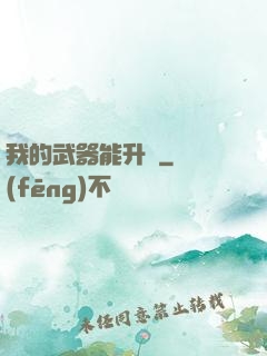 我的武器能升級