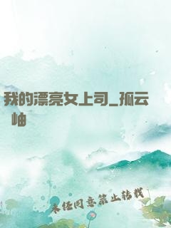我的漂亮女上司