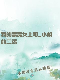 我的漂亮女上司