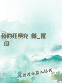 我的狂暴充電器