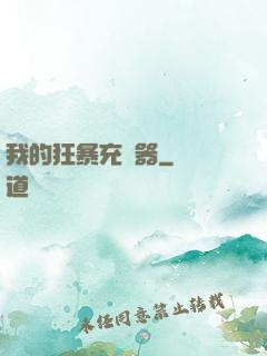 我的狂暴充電器