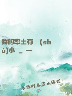 我的率土有無數(shù)小號