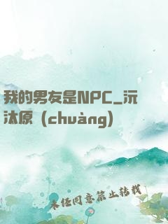 我的男友是NPC