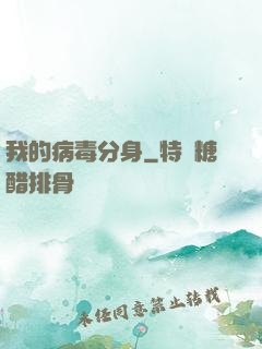 我的病毒分身