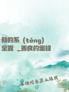 我的系統(tǒng)全靠編