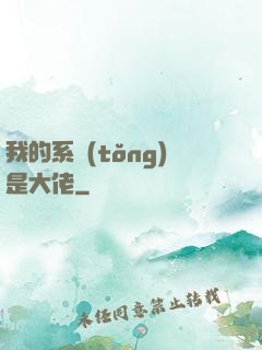 我的系統(tǒng)是大佬